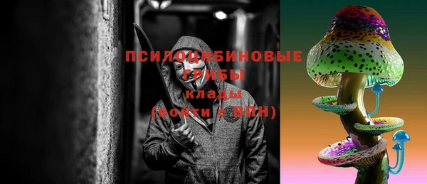тгк Алзамай
