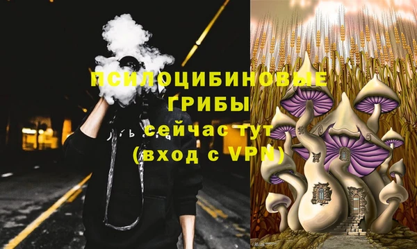 не бодяженный Алексин