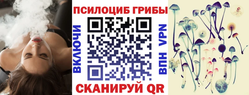 Псилоцибиновые грибы мицелий  blacksprut зеркало  Боровичи 